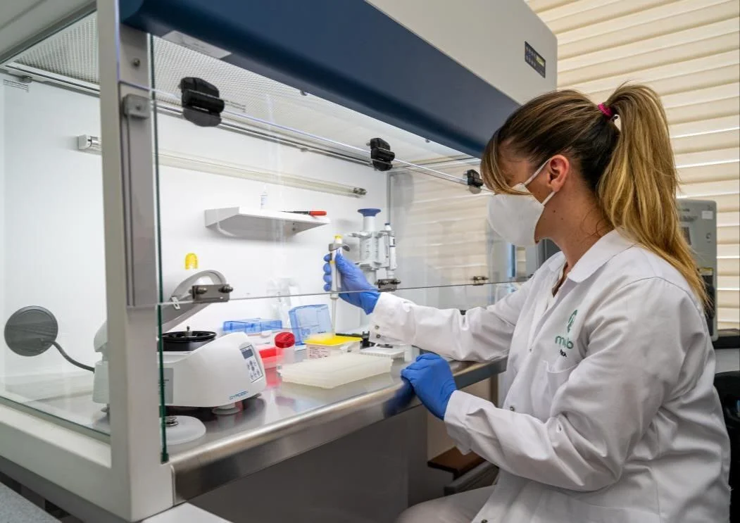 Галерея Moj Lab Kolasin