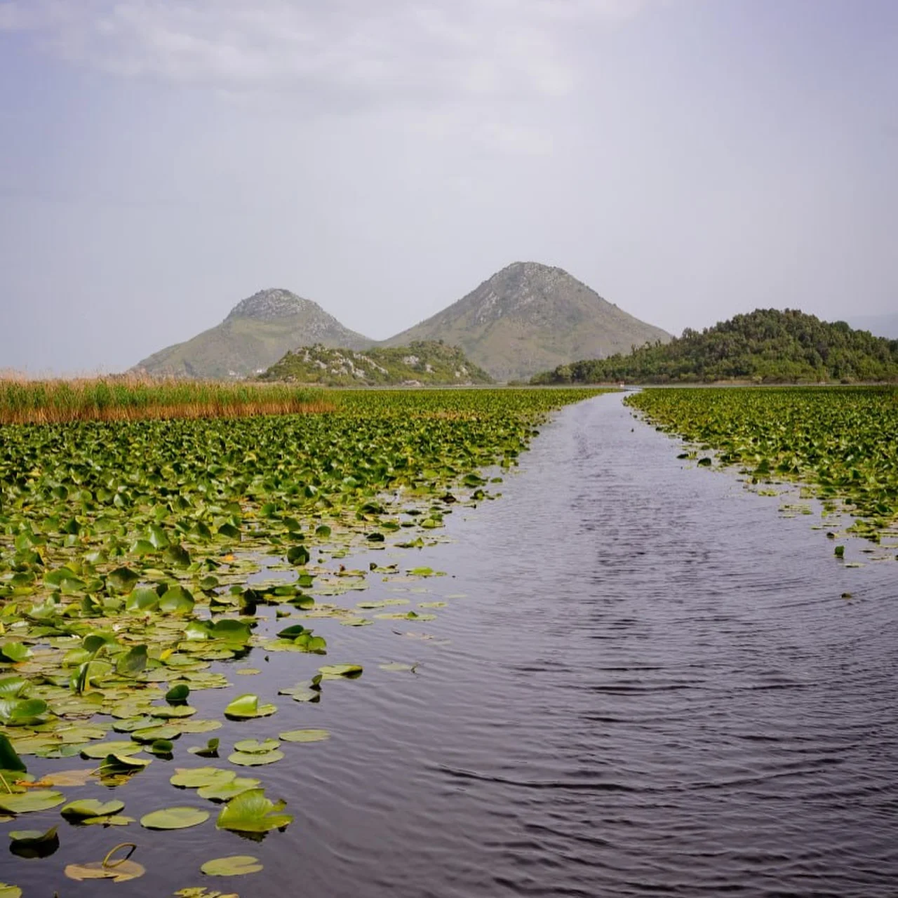 Галерея SUP - KAYAK - ME skadar